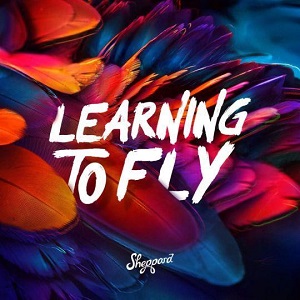 LEARNING TO FLY