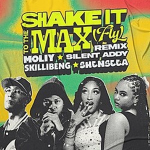 SHAKE IT TO THE MAX (FLY)