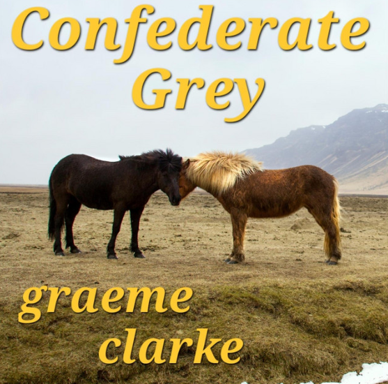 Greame Clarke - Confederate Grey