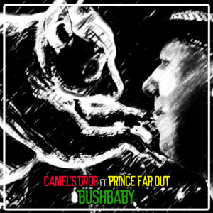 Camels Drop ft. Prince Far Out - Bushbaby